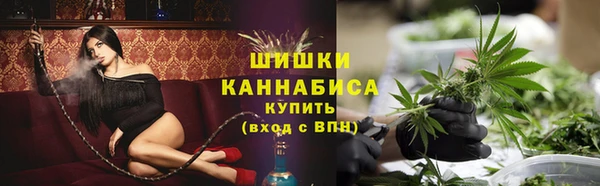 a pvp Бородино