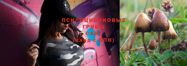 a pvp Бородино