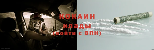 дживик Верея