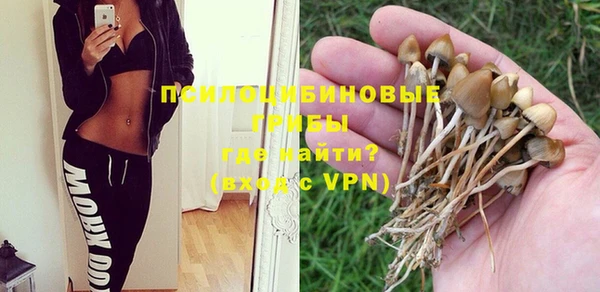 стафф Верхний Тагил